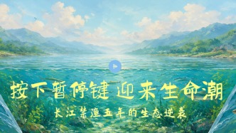 按下暂停键，迎来生命潮：长江禁渔五年的生态逆袭